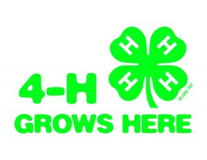 Cover photo for Congratulations 4-H Application, Resume, Interview Essay Contest Winners!