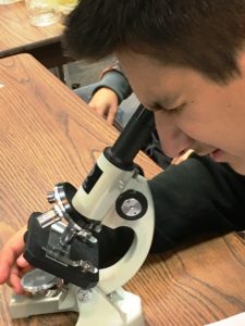 Cover photo for Biotechnology Class for Middle School - High School Students