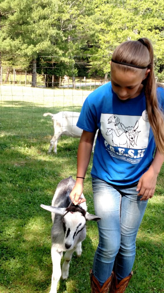 girl leading a goat