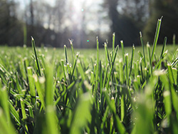 Cover photo for Congratulations to Gabriella Torres, State 4-H Photography Contest Winner!
