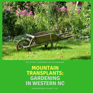Cover photo for Gardening Class Series for Newcomers to Henderson County
