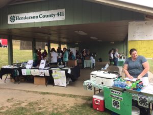 4-H booth