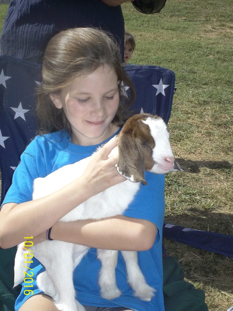 girl holding a small goat