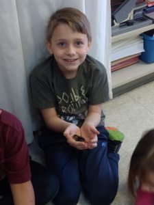 Cover photo for 4-H Embryology