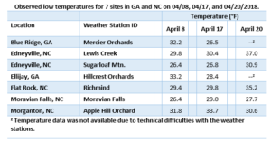 Cover photo for WNC Apple Flower Bud Mortality Assessments