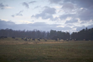 Cover photo for Farmers for America Movie May 24 at Hendersonville Coop