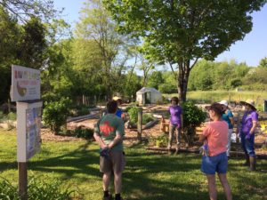 Cover photo for Extension Master Gardener Volunteer Applications Being Accepted for 2019