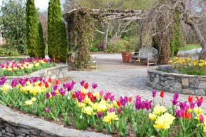 Cover photo for Spring Classes at Bullington Gardens