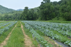 Cover photo for An August Update From the Director