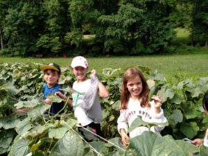 Cover photo for Registration for Ag Day Camp Is Open!