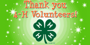 Thank you 4-H Volunteers