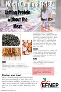 Protein without meat