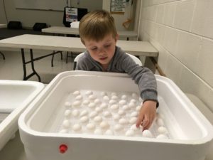 child looking at eggs in incubator