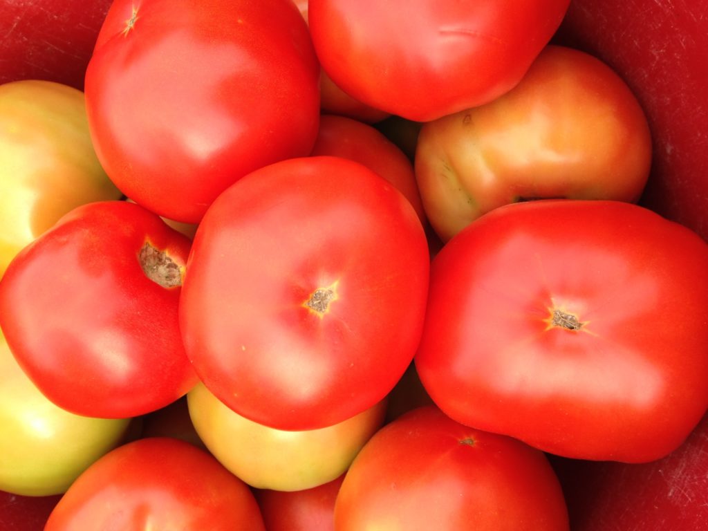 Bright red and yellow tomatoes