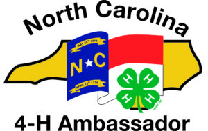 NC flag