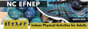 Cover photo for Indoor Physical Activities for Adults