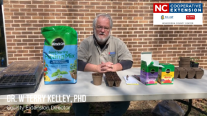 Cover photo for Starting Transplants for Your Garden