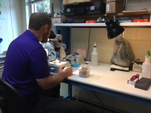 man looking through microscope