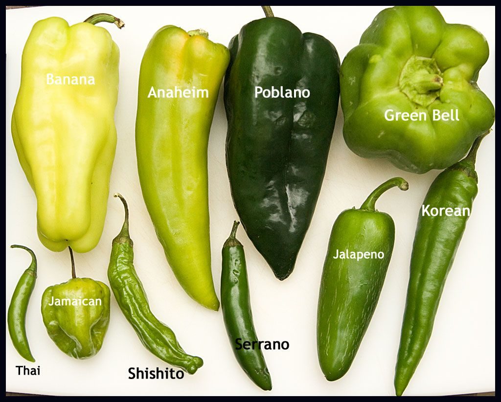 A Plethora of Peppers to Pick | N.C. Cooperative Extension