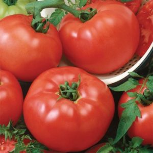 Cover photo for From Garden to Table: Creative Uses for an Abundance of Tomatoes