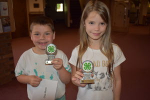 Cover photo for West District 4-H Activity Day