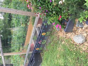 bountiful harvest community garden 