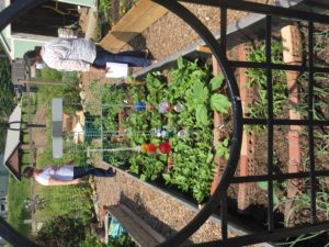 Garden volunteers