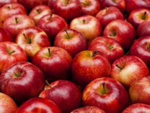 Royal Gala apples in a pile. All of the apples are red with a slight yellow hue to them. Several apples sit at an angle or on their side, while others sit perfectly straight. There almost forty apples in view.