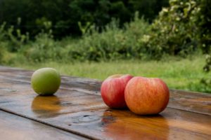 Apples on a table in an orchard