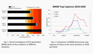 Charts showing brown marmorated stink bug emergence at various locations, and 2020 BMSB populations compared to 2019 and 2018