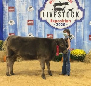 Macie Cowan with her Second Place Beef Heifer