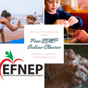 Cover photo for Free EFNEP Online Classes