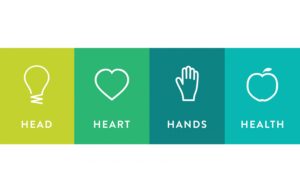 Head, Heart, Health