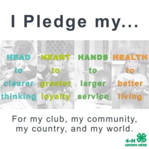 I pledge my head to clearer thinking, my heart to greater loyalty, my hands to larger service, and my health to better living for my club, my community, my country and my world.