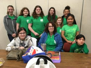 Hoofbeats 4-H Club at the West District 4-H Horse Bowl