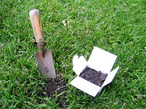 soil testing