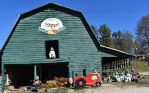 Cover photo for Local Apple Grower Mike Stepp Discusses How Extension Helps His Farm