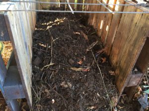 composting leaves