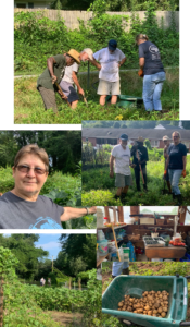 First Congregational UCC garden