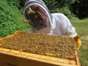 Cover photo for Hive Chat With Dr. David Tarpy and Friends on January 27 @ 7pm