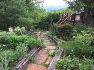 mountain garden