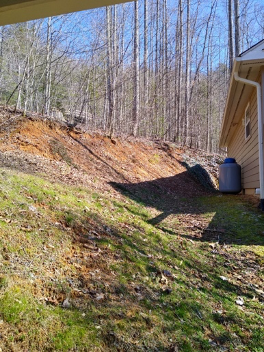 Steep slope covered with Sedum for erosion resistance - Sempergreen