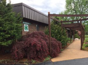 japanese maple extension office