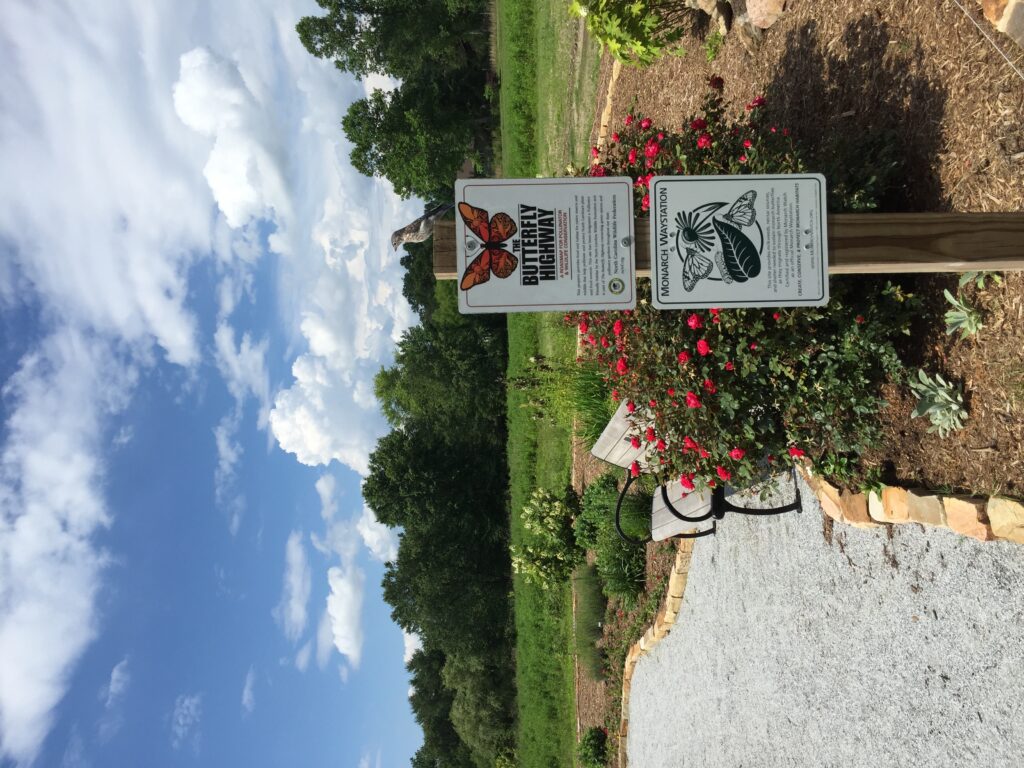 Flat Rock Park Pollinator Garden and Meadows