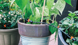 drip irrigation system for nursery pots