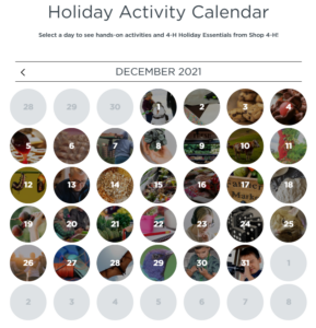 Holiday Activity Calendar 