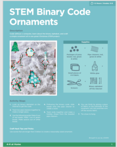 STEM Binary Code Ornaments cover