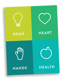 Head, Heart, Hands, Health