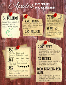 Cover photo for January 6, National Apple Tree Day