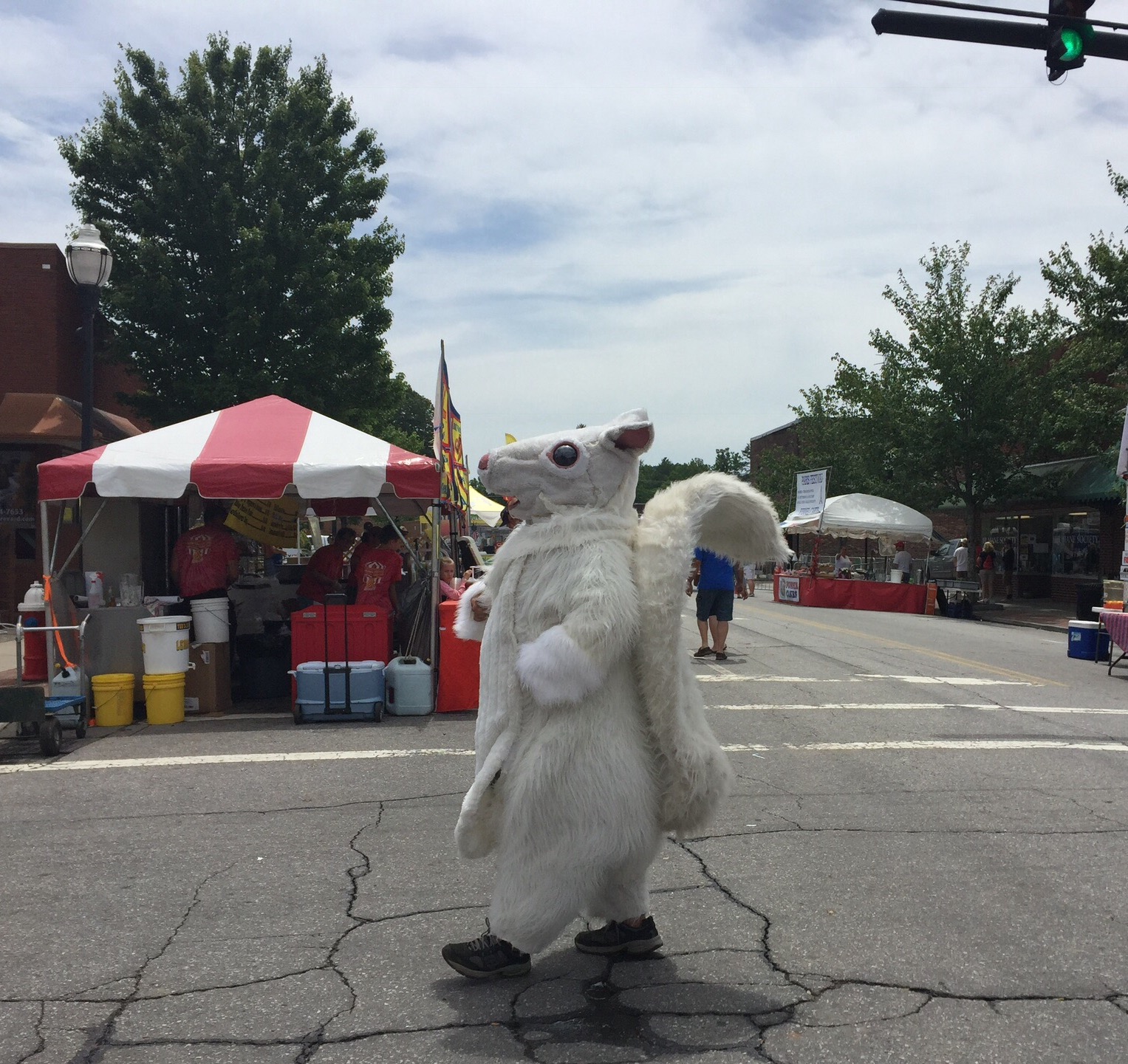 White Squirrels in Henderson County N.C. Cooperative Extension